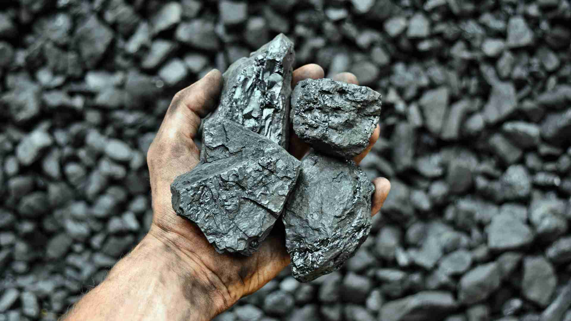 coal-india.jpg